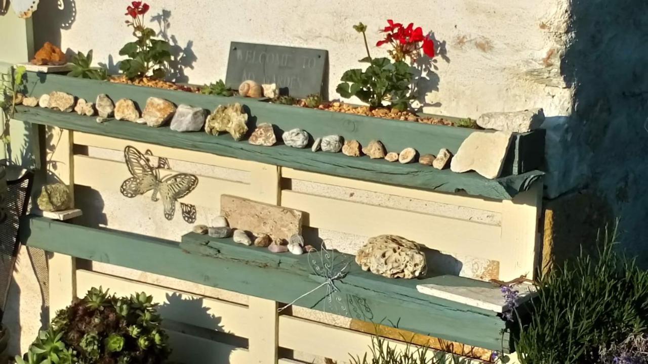 Bed and Breakfast La Pause - Val De Loire Chabris Esterno foto